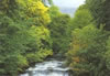 River Tummel Near Rannoch